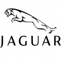 Jaguar Jaguar